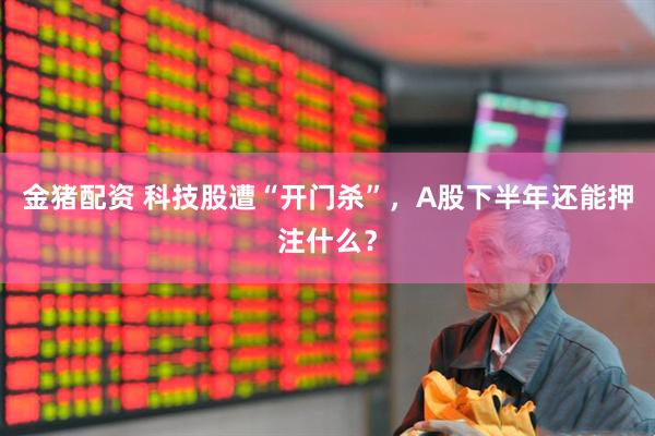 金猪配资 科技股遭“开门杀”，A股下半年还能押注什么？